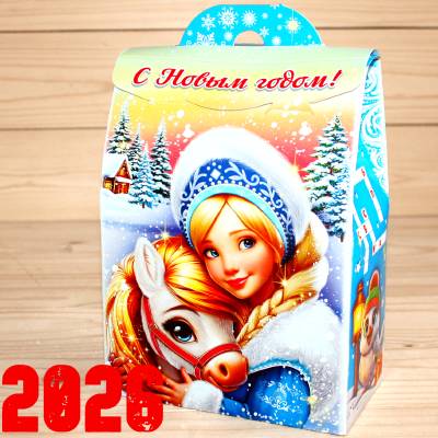 Детский новогодний подарок 2026 в Краснозаводске